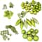 125ct. Green Shatterproof 3-Finish Tropical Christmas Ornaments